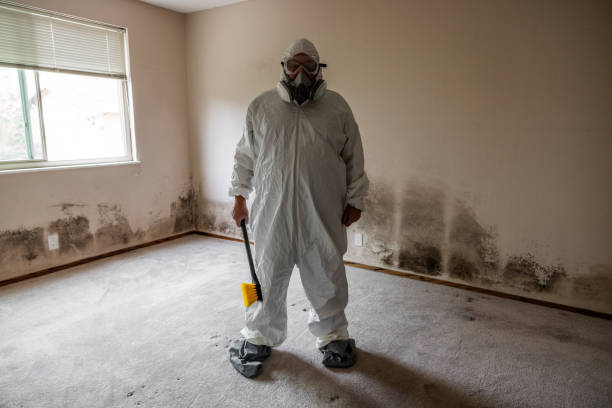 Best Residential Mold Removal  in Carmi, IL